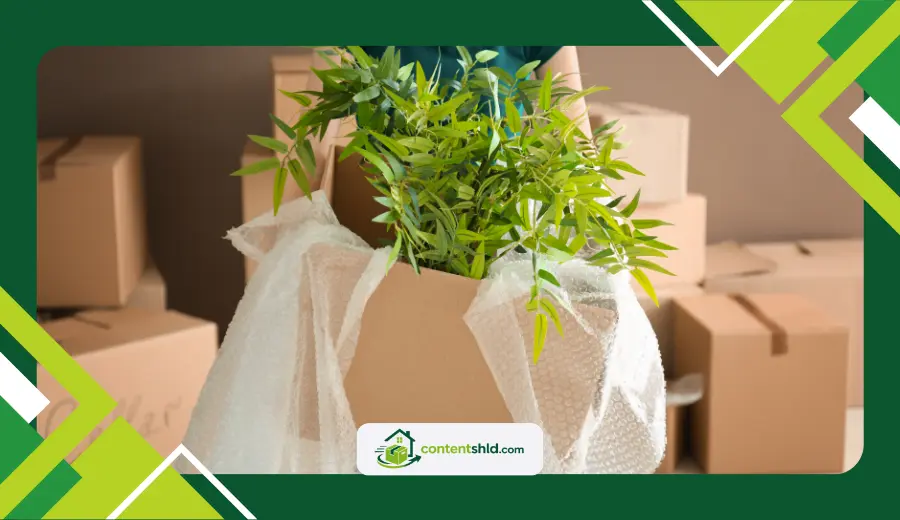 transport large indoor houseplants during a move